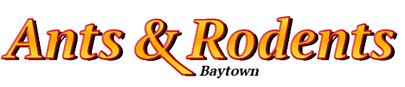 Baytown Ant Exterminator & Rodent Control Company Logo